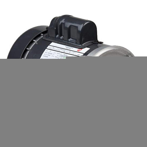 FD13BM2PZYR Us Motors/Nidec FarmDuty 0.33 HP 1725 RPM 56Y Frame