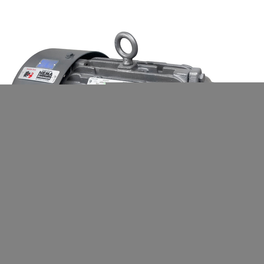 HD2P3E US Motors / Nidec HOSTILE DUTY Motor - 2 HP - 1175 RPM - 208-230/460 V - TEFC