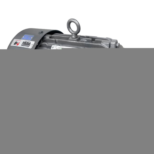 HD2P3E US Motors / Nidec HOSTILE DUTY Motor - 2 HP - 1175 RPM - 208-230/460 V - TEFC