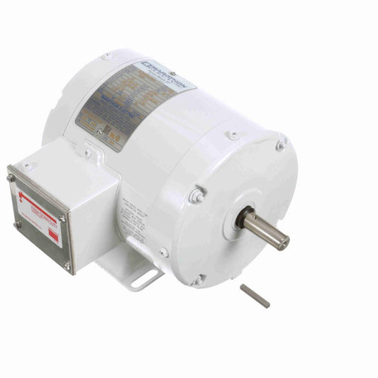 E286 Marathon Washdown Motor 0.33 HP 1725 RPM 56 Frame
