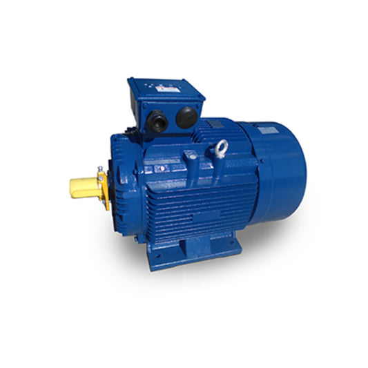 MP0034 Teco IEC Motor 3 HP 1800 RPM 100L Frame