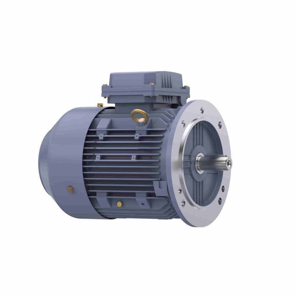R252 Marathon General Purpose Motor 4 HP 1765 RPM 100L Frame